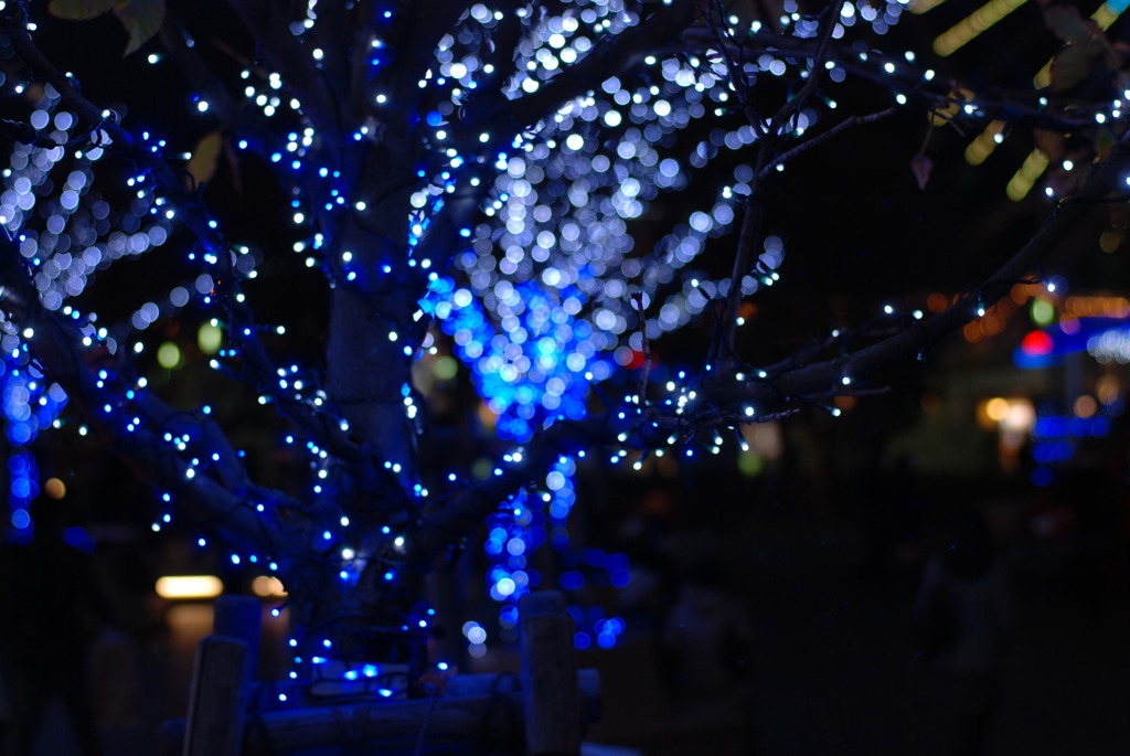 クリスマスの実