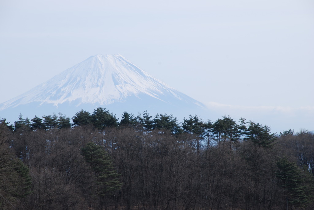 西から見た富士山