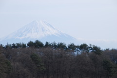 西から見た富士山