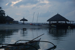 目覚め･･･。