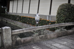 仁王立ち