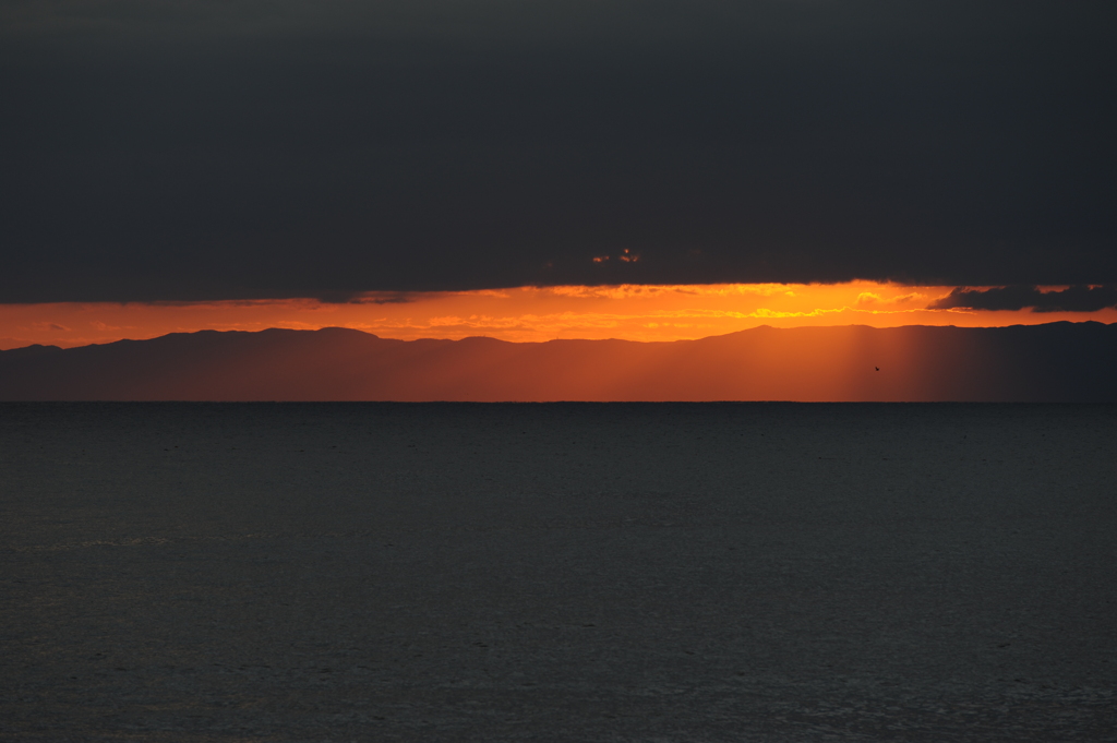 夕陽光