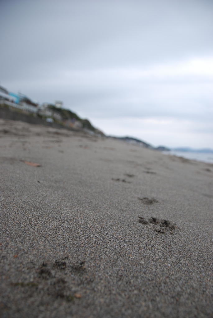 七里ガ浜を行く･･･