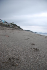 七里ガ浜を行く･･･