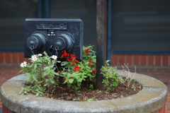 花壇の居候！？