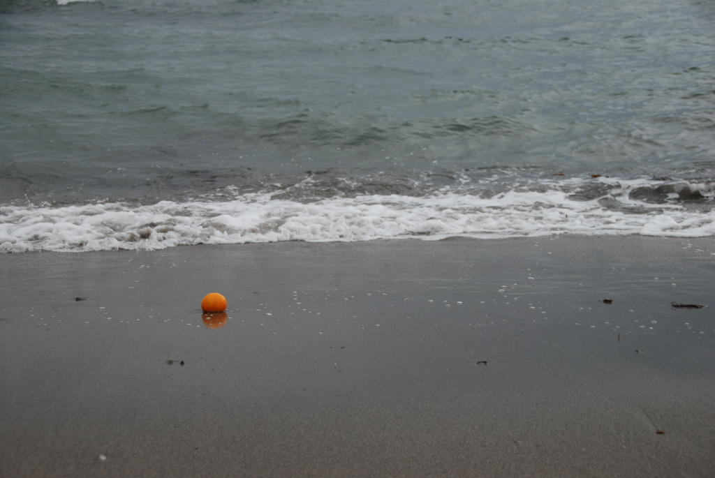 漂着…オレンジ