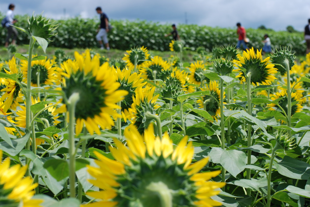 見る側？見られる側？