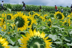 見る側？見られる側？