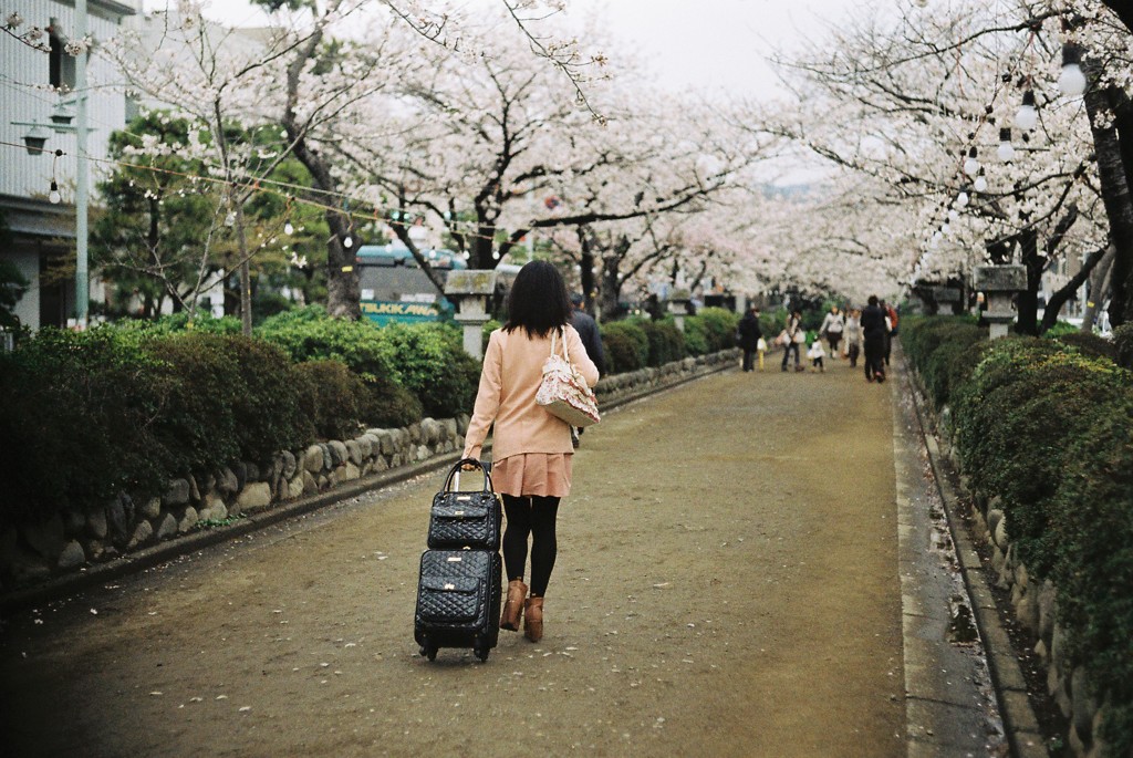 桜色