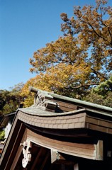 屋根越しの空