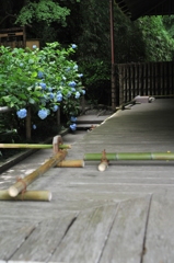 明月院