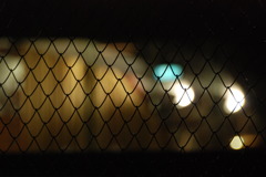 フェンスの向こう･･･