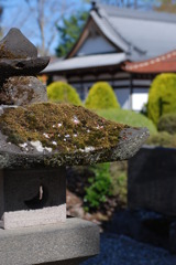 苔灯篭
