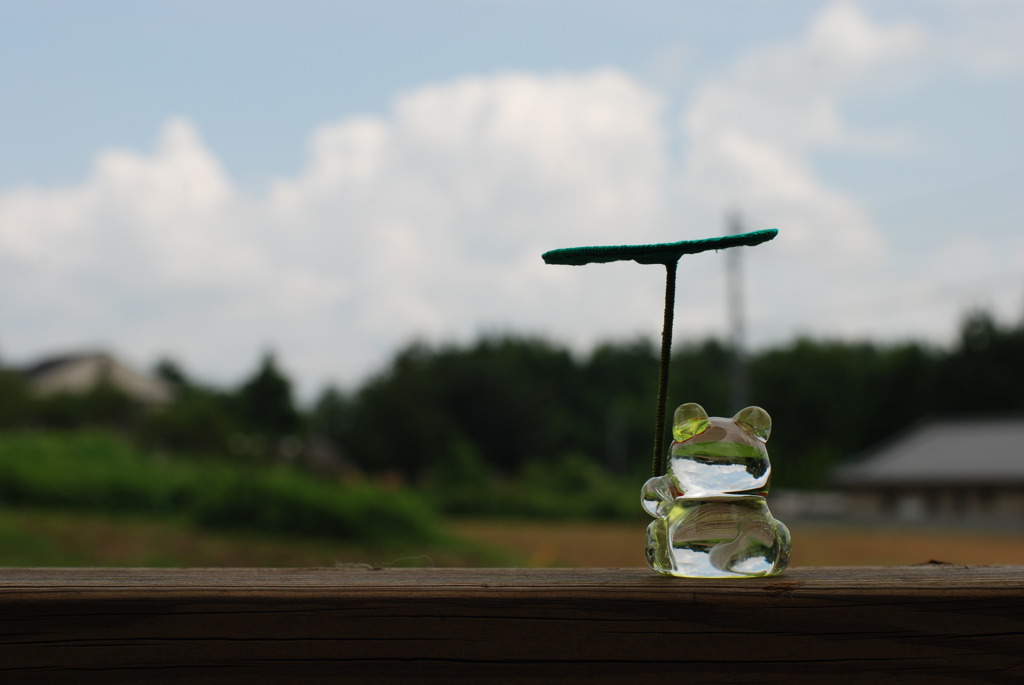 雨待ち･･･？