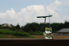 雨待ち･･･？