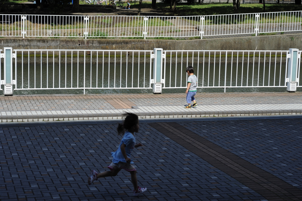 日向（静）と日陰（動）