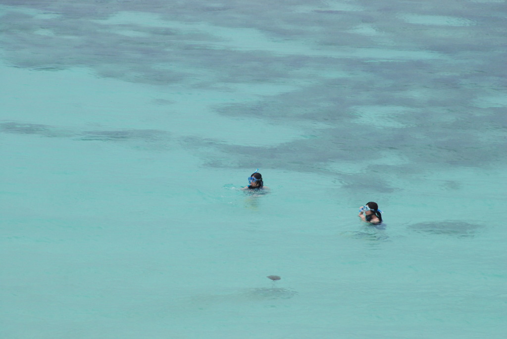 シュノーケリング