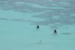 シュノーケリング