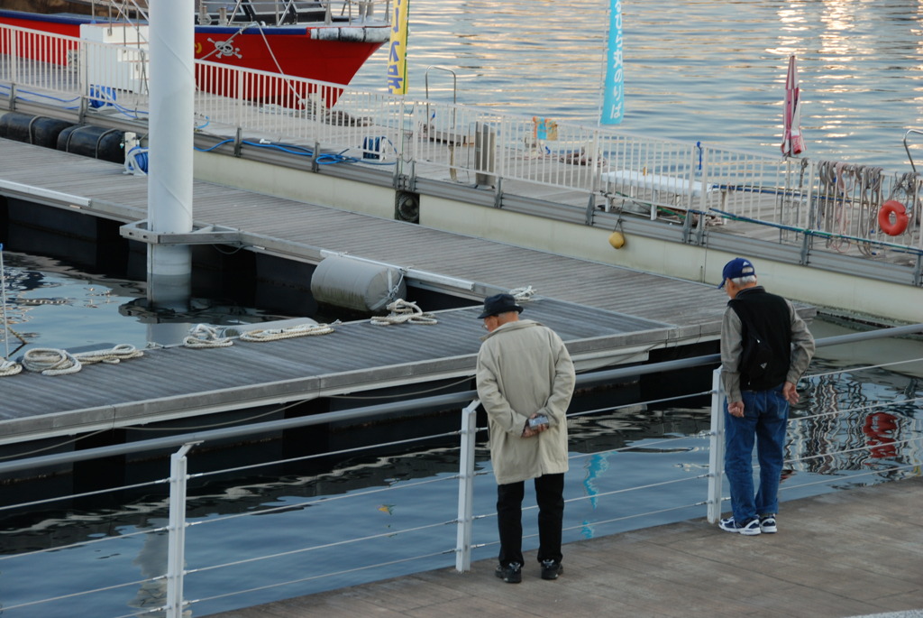 魚みえるかい？