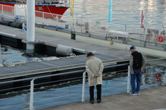 魚みえるかい？