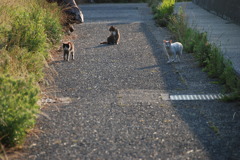 微妙な距離感。