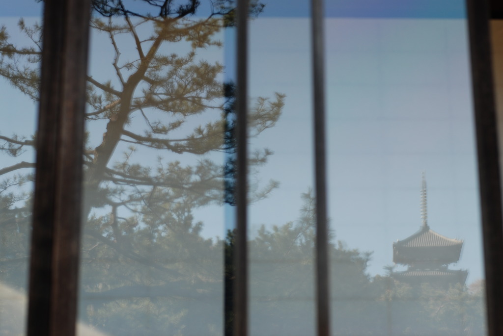 窓の向こう・・・こっち！？