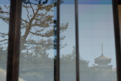 窓の向こう・・・こっち！？