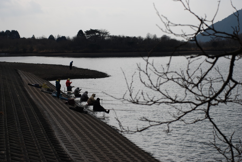 釣り風景