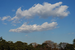 人に見えてきた！？（手前の雲）