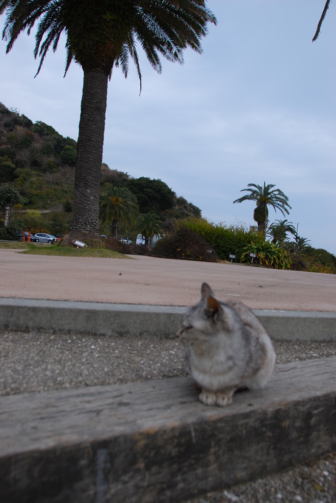 主役は・・・？