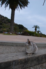 主役は・・・？