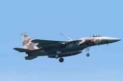 F-15 アグレッサーその④