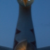闇夜の眼