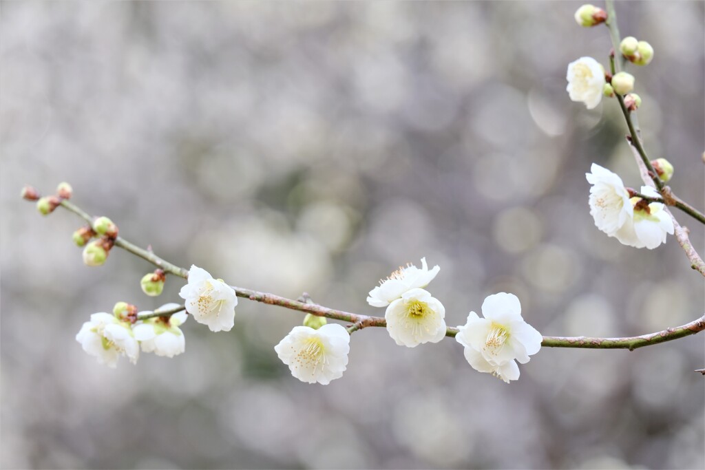 そこはかとなく・・