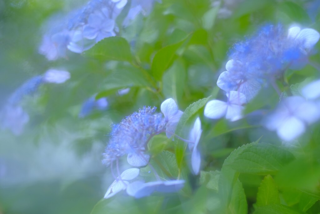 涼を感じたくて