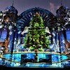 X'mas Tree 