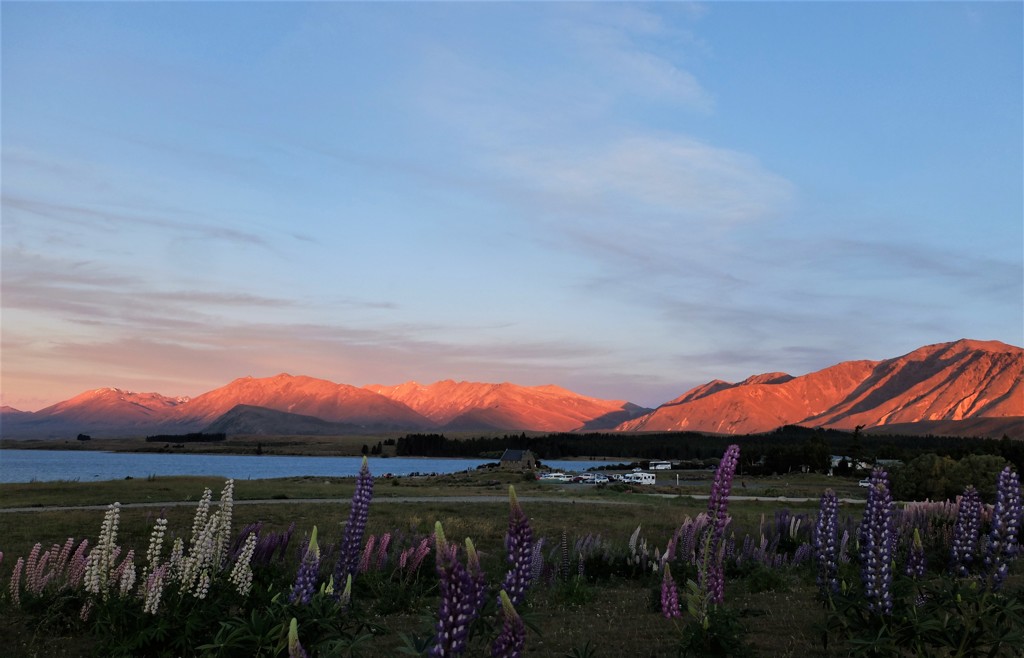 テカポ湖の夕陽