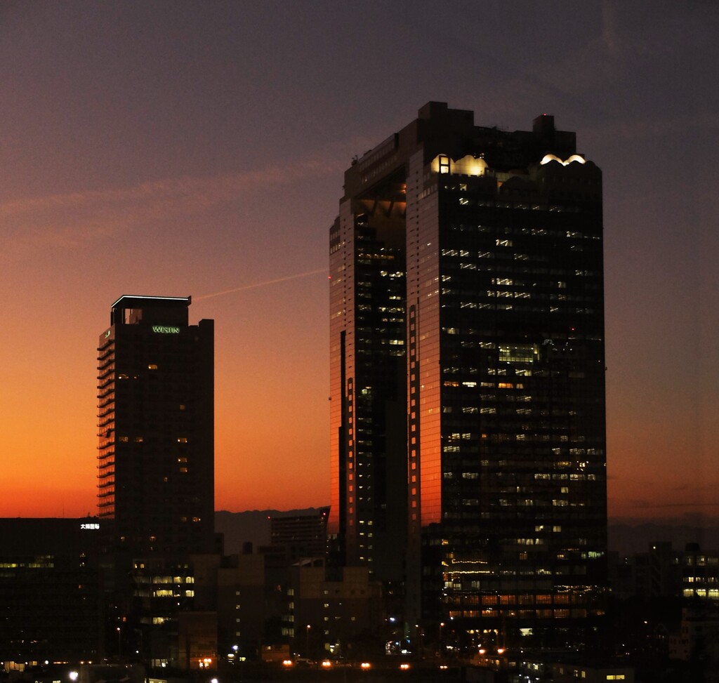 Twilight in Osaka