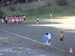 soccer