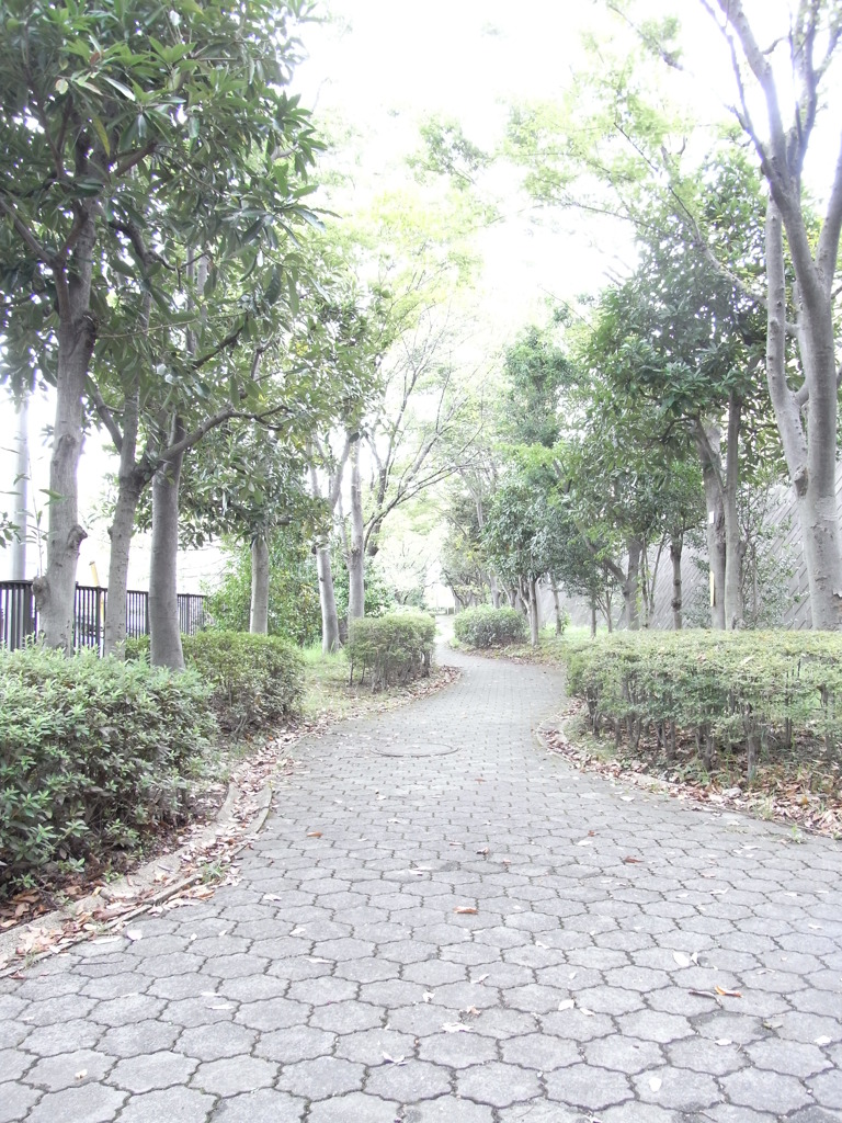 道