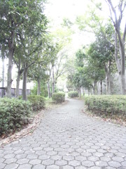 道