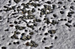 蒸発する雪