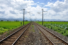 マイル