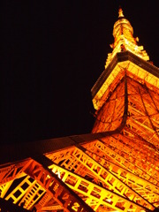 根元からの東京タワー