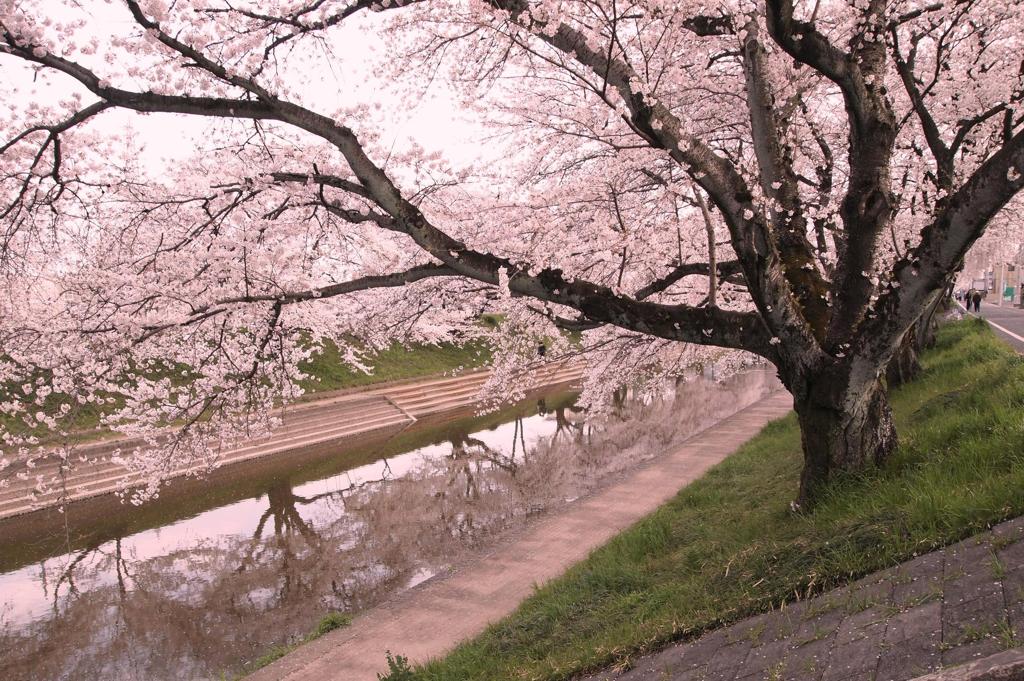 水面。
