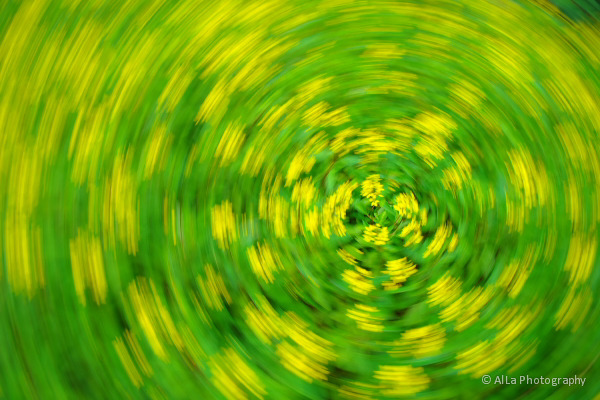 ブレ写真