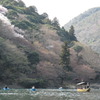 嵐山