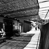 島の路地裏