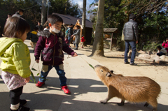 綱引き