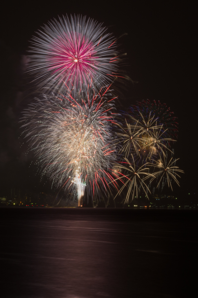 今年は対岸にて撮影03